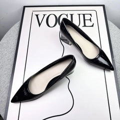 comfortable and versatile design, luxurious and light, high-end fashion, matching with small skirt, ladies' single shoes