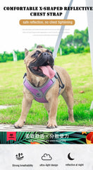 Adjustable Reflective Dog & Cat Harness – Mesh Pet Vest