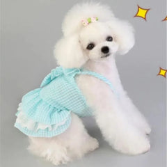 Plaid Dog Dress 👗 Pink & Blue Summer Skirt for Small Dogs & Cats