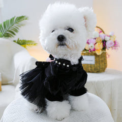 Black Sahara Rose Pet Dress – Warm Autumn/Winter Wedding Outfit for Small & Medium Dogs