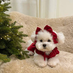 Winter Bow Knot Dog Dress Set – Warm Christmas Princess Outfit for Small Dogs & Cats