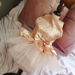 Cute Summer Dog Dress Lace Tulle Princess Outfit for Dogs & Cats