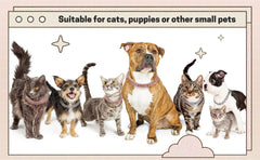 Dog & Cat Diamond Cuban Link Chain – Crystal Pet Collar