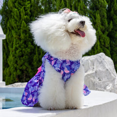 CuteBone Summer Dog Dress 🌸 Adorable Skirt Outfit for Small Dogs