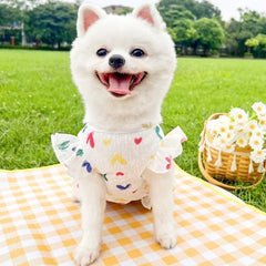Princess Dog Dress 🍓 Cute Strawberry Summer Outfit for Small Dogs & Cats
