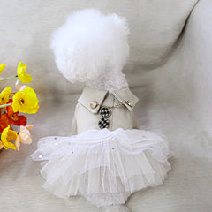 Luxury Black Leather Dog Coat 🖤 Waterproof Autumn/Winter Outfit for Small Pets