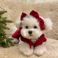 Winter Bow Knot Dog Dress Set – Warm Christmas Princess Outfit for Small Dogs & Cats