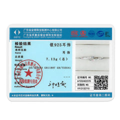 925 Silver Hoop Earrings for Women – Zircon Heart & Star Drops