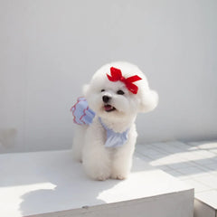 Summer Princess Dog Dress 🌸 Cute Skirt Outfit for Small Dogs & Cats