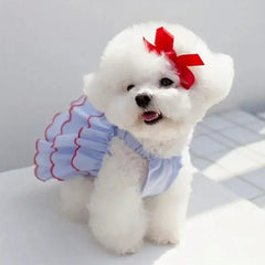 Summer Princess Dog Dress 🌸 Cute Skirt Outfit for Small Dogs & Cats