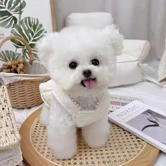 Winter Velvet Dog Dress 🎀 Thick Warm Outfit with Bow for Small Dogs & Cats