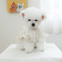 Luxury Princess Dog Dress 👑 Fancy Autumn/Winter Outfit for Small Dogs