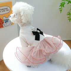 Spring Summer Pet Tutu Dress 🌸 Lace Princess Outfit for Dogs & Cats