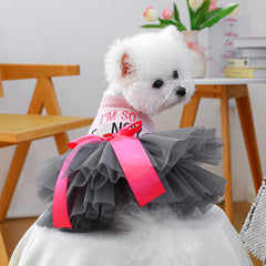 Fancy Bowtie Pet Dress – Luxury Summer Outfit for Dogs & Cats