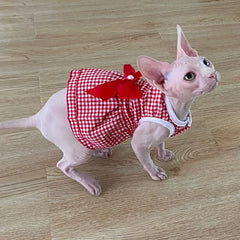Striped Princess Cat Dress 🎀 Cute Summer Outfit for Cats, Kittens & Small Pets