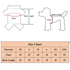 Striped Lace Pet Dress – Cute Summer Outfit for Small Dogs & Cats