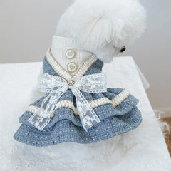 Luxury Princess Dog Dress 👑 Fancy Autumn/Winter Outfit for Small Dogs