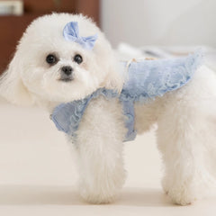 Cute Floral Lace Pet Dress Harness – Cute Spring/Summer Outfit for Small Dogs & CatsCat Dog Floral Crossbody Vest Harness - Spring/Summer Lace Dress Two-Legged Outfit for Teddy Dogs & Cats, Pet Clothes