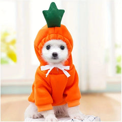 Fruit Fleece Dog Hoodie 🍓 Warm Winter Outfit for Small Dogs & Cats