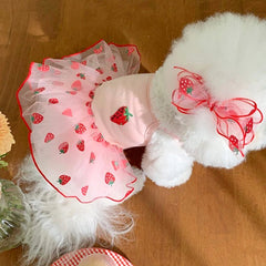 Summer Princess Dog Dress 🌸 Lightweight Skirt for Small Dogs & Puppies