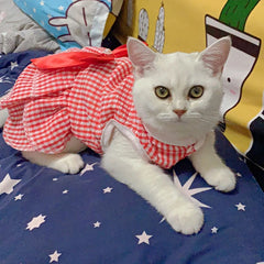 Striped Princess Cat Dress 🎀 Cute Summer Outfit for Cats, Kittens & Small Pets