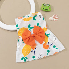 Summer Sphynx Cat Dress 🌸 Lightweight Printed Outfit for Cats & Kittens