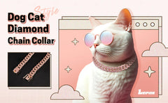 Dog & Cat Diamond Cuban Link Chain – Crystal Pet Collar