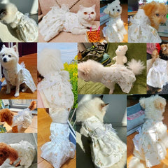 Luxury Summer Dog Dress 🎀 Lace Mesh Bow Outfit for Small Dogs & Cats