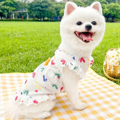 Princess Dog Dress 🍓 Cute Strawberry Summer Outfit for Small Dogs & Cats