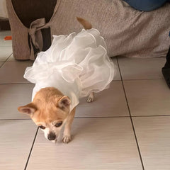 White Dog Wedding Dress 👑 Luxury Bridal Outfit for Small Dogs