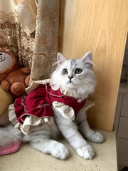 Lolita Princess Pet Dress – Bow Skirt Outfit for Small Dogs & Cats