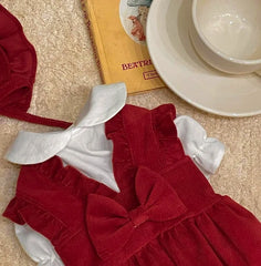 Winter Bow Knot Dog Dress Set – Warm Christmas Princess Outfit for Small Dogs & Cats