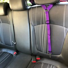 Two-in-One Pet Car Seat Belt – Adjustable Nylon Dog Leash