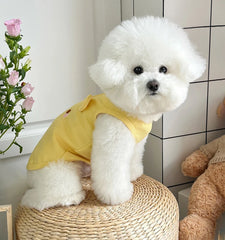 Lightweight Dog Vest 🌤 Breathable Summer Outfit for Small Dogs & Cats