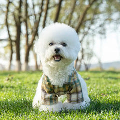 Summer Plaid Pet Shirt – Cotton Vest for Small Dogs