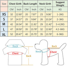 Angel Wings Pet Dress – Spring/Summer Outfit for Small Dogs & Cats