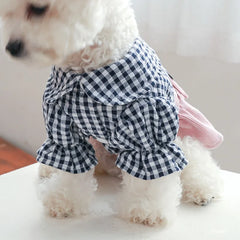 Black Button Plaid Dog Dress 👗 Spring & Summer Outfit for Small Dogs & Cats