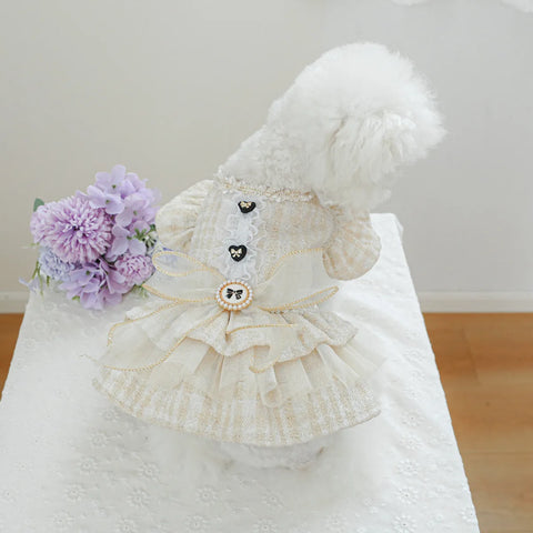 Luxury Princess Dog Dress 👑 Fancy Autumn/Winter Outfit for Small Dogs