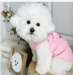 Lightweight Dog Vest 🌤 Breathable Summer Outfit for Small Dogs & Cats