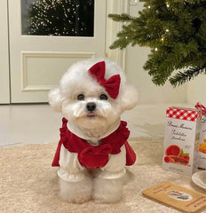 Winter Bow Knot Dog Dress Set – Warm Christmas Princess Outfit for Small Dogs & Cats
