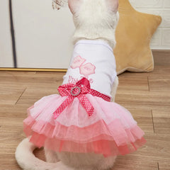 Striped Lace Pet Dress – Cute Summer Outfit for Small Dogs & Cats